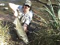 BURT DAM SALMON SLAYERS 10-18-08