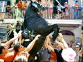 Jaleo de ses Festes D\ Jaleo de ses Festes D\