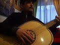 guitarron el son de la negra