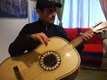 guitarron el son de la negra