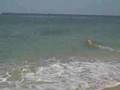 Nathan on the Beach in Casey Key