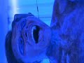 final destination 3  uv   strange version  