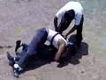 rodeo extremo-CBTis 248 part 2