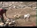 B�MAK EGMA 2004