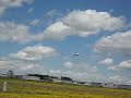 Veri Eze landing at Springbank Airport