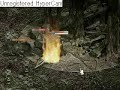 high level mage hunt in toi90f+