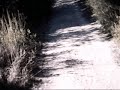 Trialera El Garrobo parte 2
