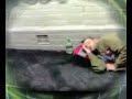 sleeping Guy on platform. + Robot clip sleeping Guy on platform. + Robot clip