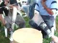 videos de IRONHORSE