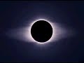 The Feline Race and Nibiru/Planet X