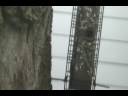 Squirrel can\ Squirrel can\