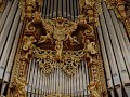 Toccata & Fuge d-moll v. Joh. Seb. Bach live BWV 565 (1/2)
