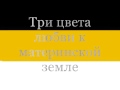 имперский флаг