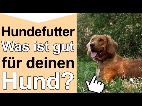 Hundefutter - Was ist gutes hochwertiges Hundefutter und artgerechte Hundenahrung fr deinen Hund?