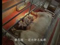 Click here to watch this video 食品の裏側（１）
