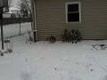 videos de Sammi and Erik in the snow
