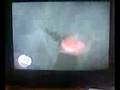 videos de man jumps of bilding.avi