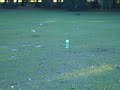 dry ice bomb