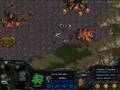 videos de starcraft tvz micro