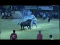 Ver Video