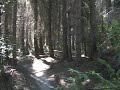 7 Miles New Zealand Mountain Bike 7 Miles New Zealand Mountain Bike