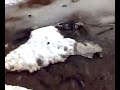 Особенности зимней рыбалки