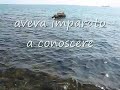 Anna Marinelli: \"il mare-dentro\" Anna Marinelli: \"il mare-dentro\"