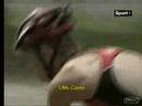 GP-triathlon-Paris-2