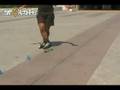 Free Style Slalom Trick -- Double cross