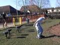 First FreeRunning/Tricking Sampler 2010 -- Well its my first sampler, im a beginner so my tricks are sloppy. Any tips on what I should work on or improve would be appreciated :)