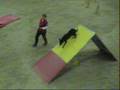 videos de Comète Open agility Laufen 08 11 08