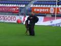 KNPV: NK Object Bewakingshond 2007: Schot en Werp