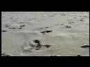 canet-en-roussillon-au-mois-de-f-vrier-.html