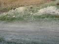 videos de motocross lazzaro 004
