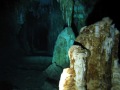 Cozumel Paradise reef
