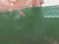 parte 7 casa nueva