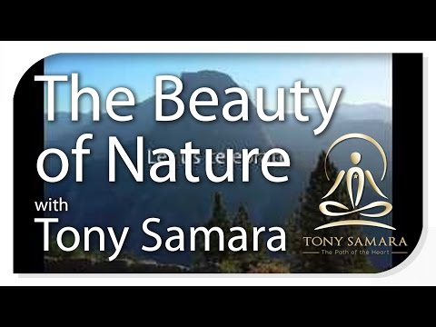Celebrate the beauty of nature with Tony Samara