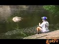 Blue Green Algae