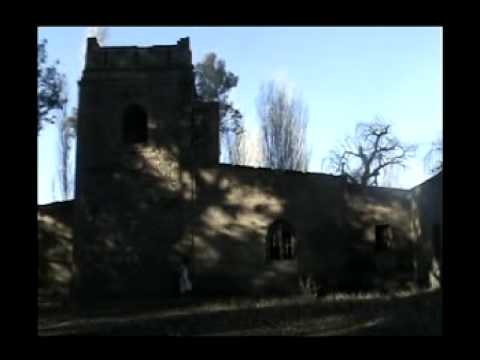 Video de Natural de Babasónicos