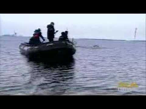 First video of historic North Pole swim