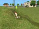 sailor moon and the sims 2