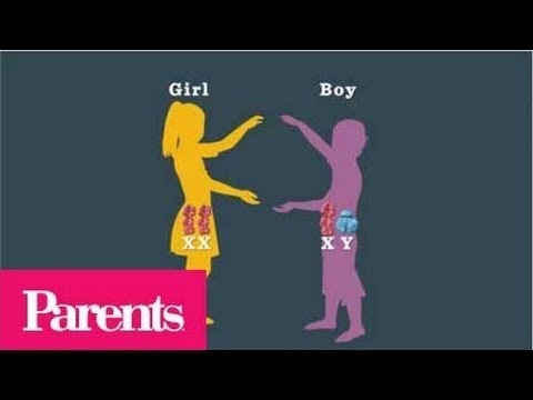 how to determine gender of baby