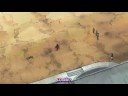 Naruto Shinppuden 78-79 1-5 Sub Espa�ol