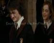Triwizard Tragedy Part 1, A Harry Hermione Ship!
