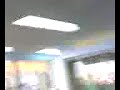 verguero en urbe