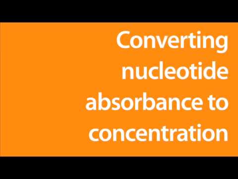video-linktoworks-Converting nucleic acid absorbance to concentration