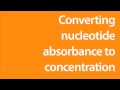 Converting nucleic acid absorbance to concentration