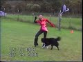 踊る犬動画