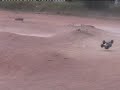 Ezilla at the race track