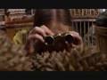 harriet the spy part 1